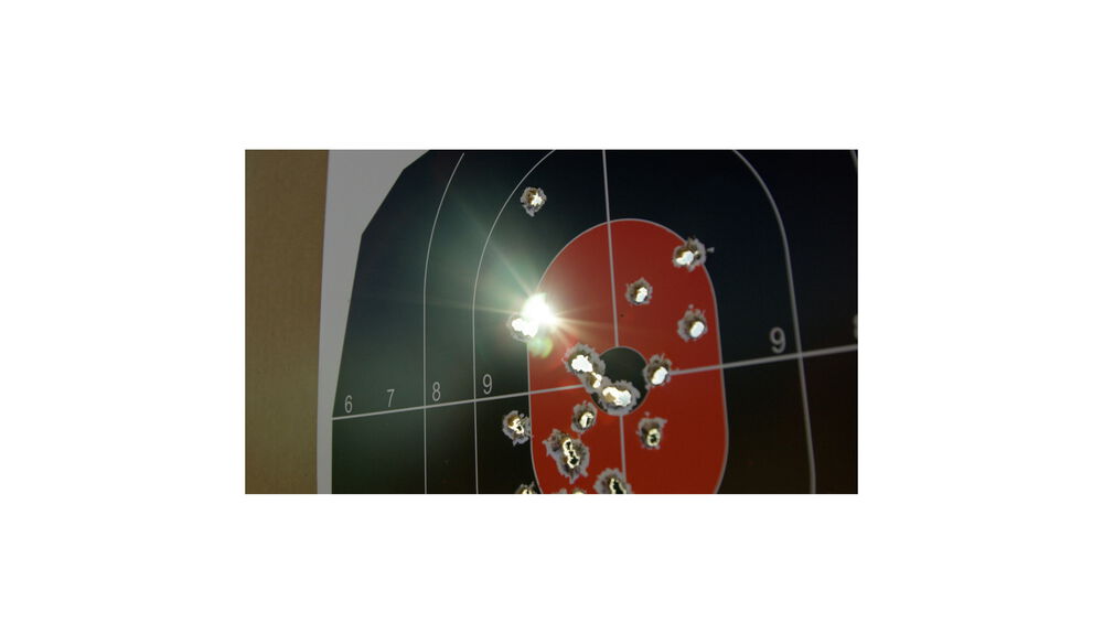 Silhouette Dual Zone Target 8pk